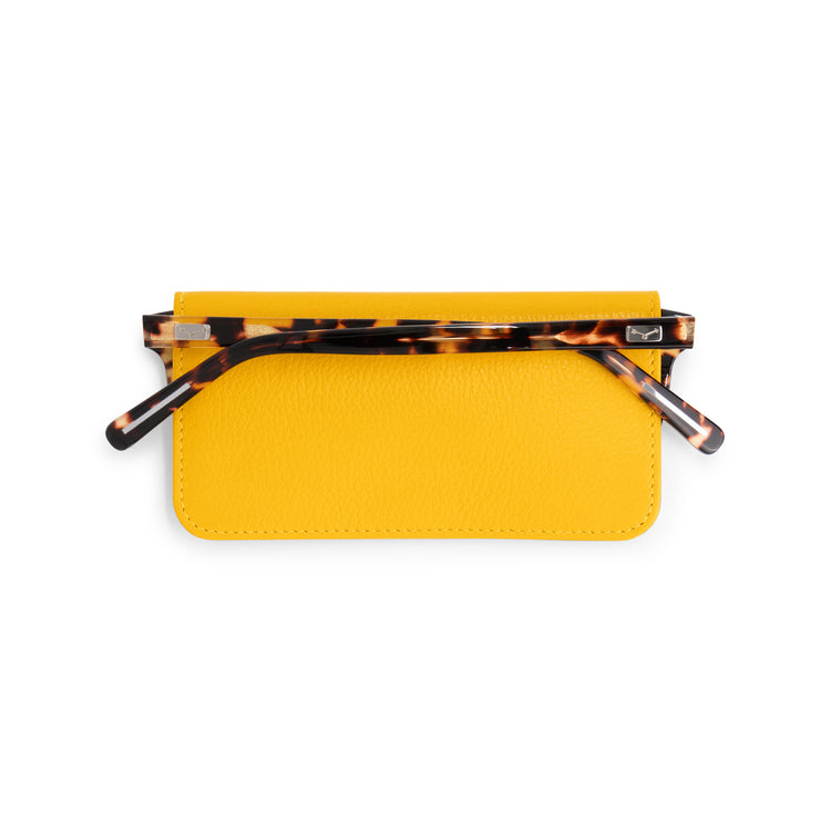 Chiba Spectacles Case