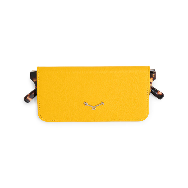 Chiba Spectacles Case