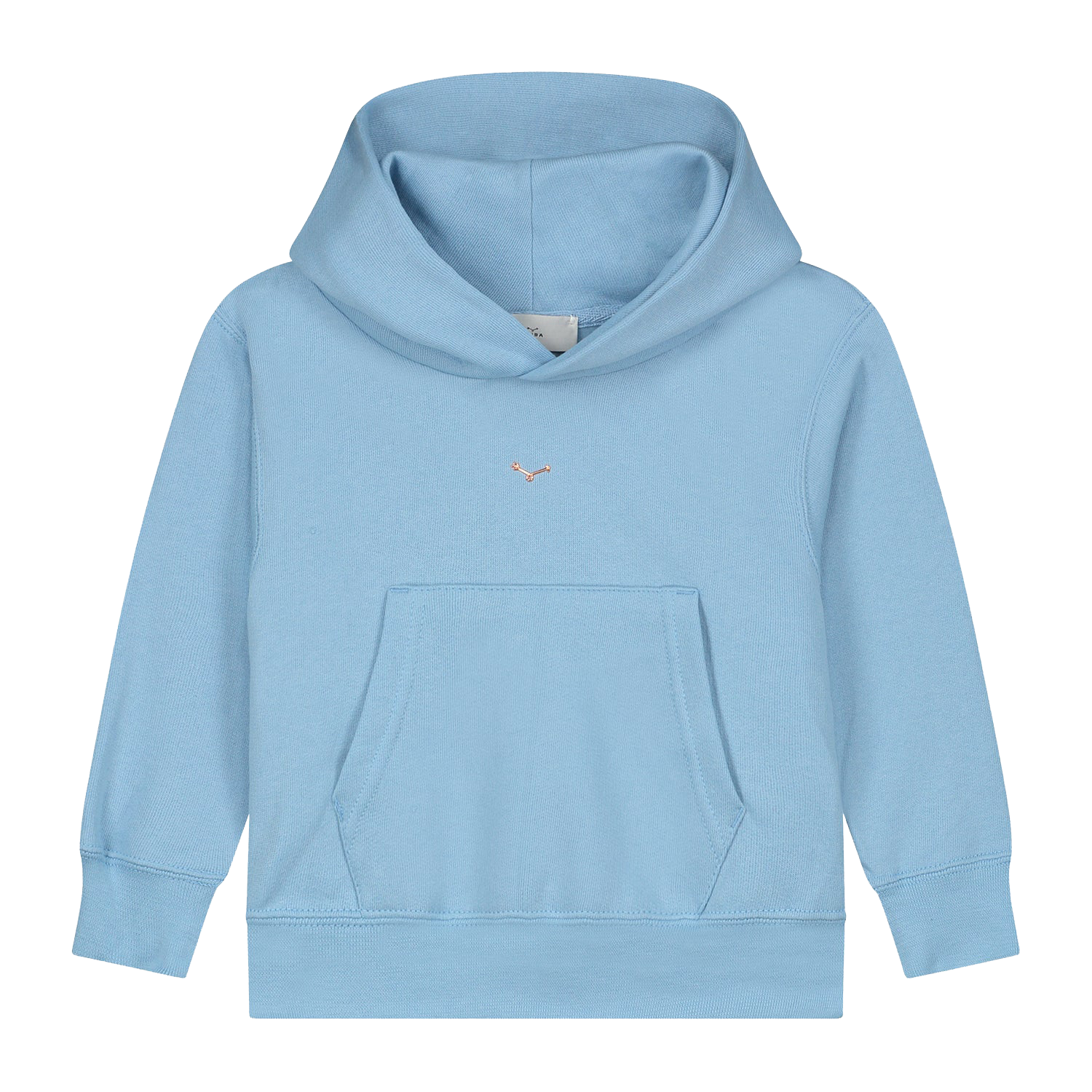 Sky Blue Hoody - Kids